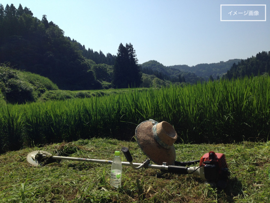 【森の学校特別講義】刈り払い機資格講習会のご案内
