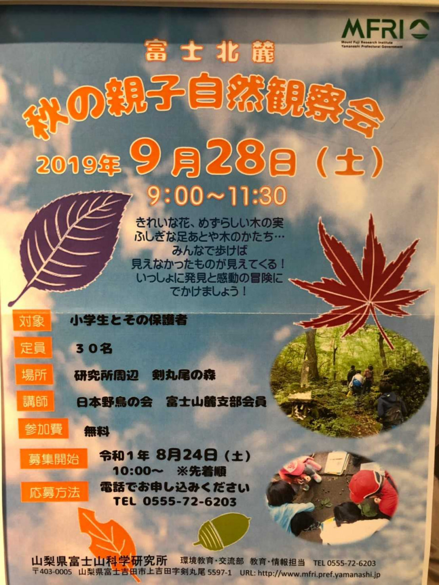 秋の親子自然観察会